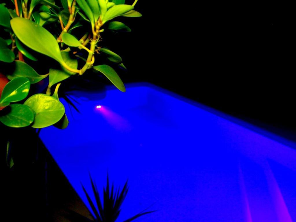 Villa Eden Rock ショルシェール エクステリア 写真